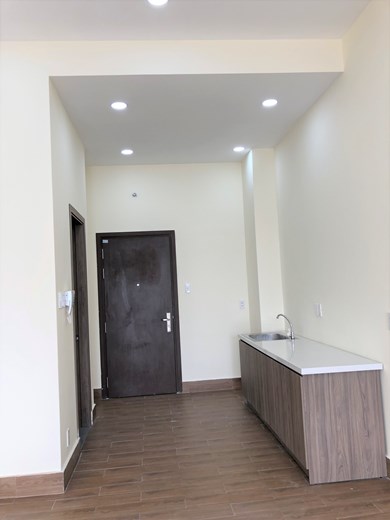 apartment for rent   D2271826 (1)